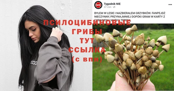дживик Магадан