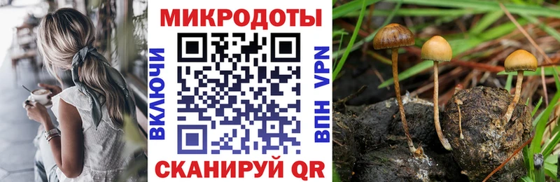 Псилоцибиновые грибы Cubensis Донской