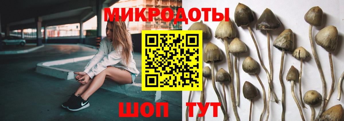Псилоцибиновые грибы Psilocybine cubensis  Вход с VPN  Донской  Галлюциногенные грибы мухоморы 